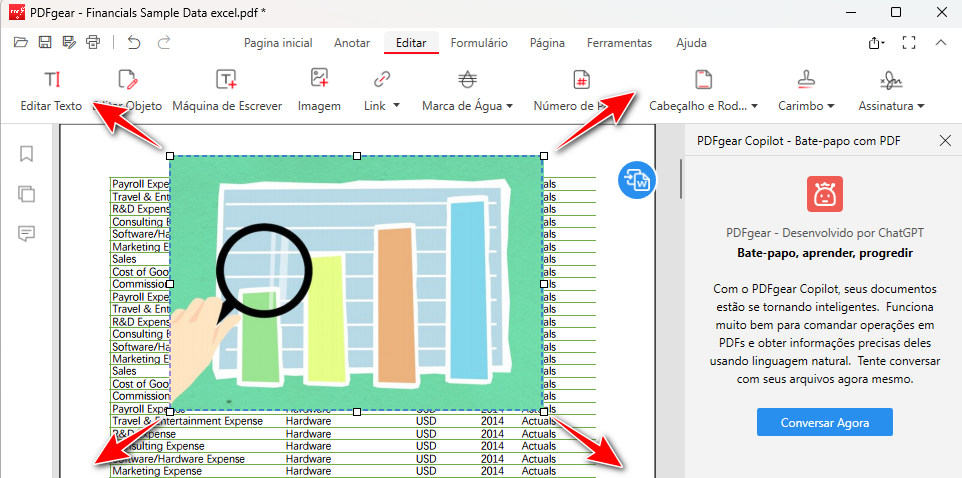 Ajuste a Imagem Inserida
