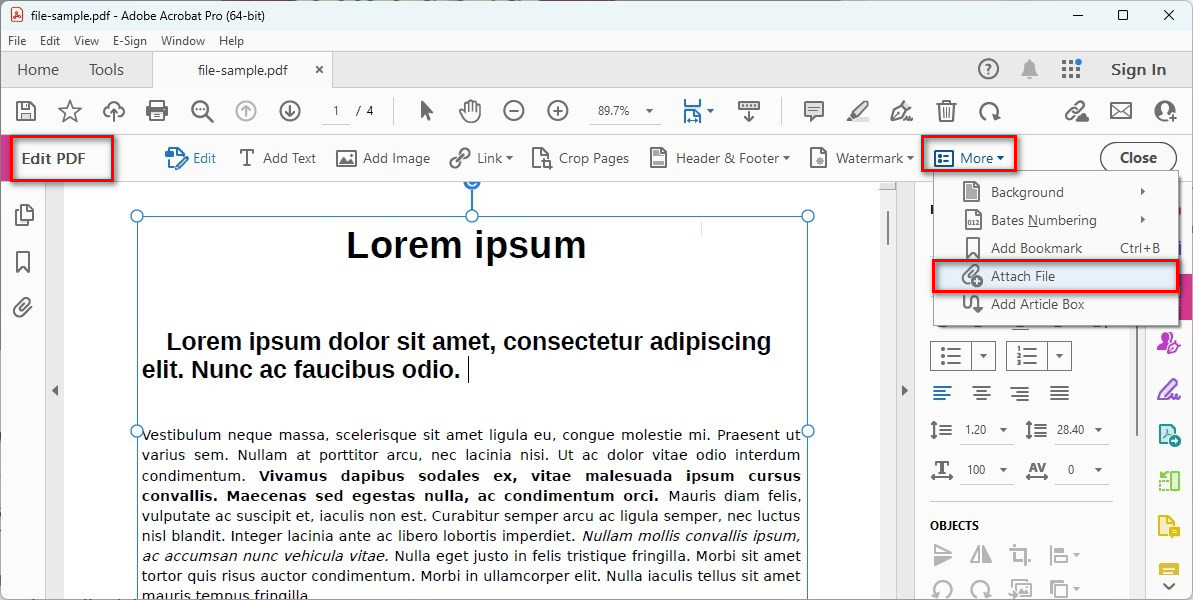 Allegare File al PDF in Acrobat