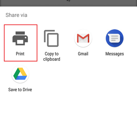 Choose the Print Button in Google Chrome