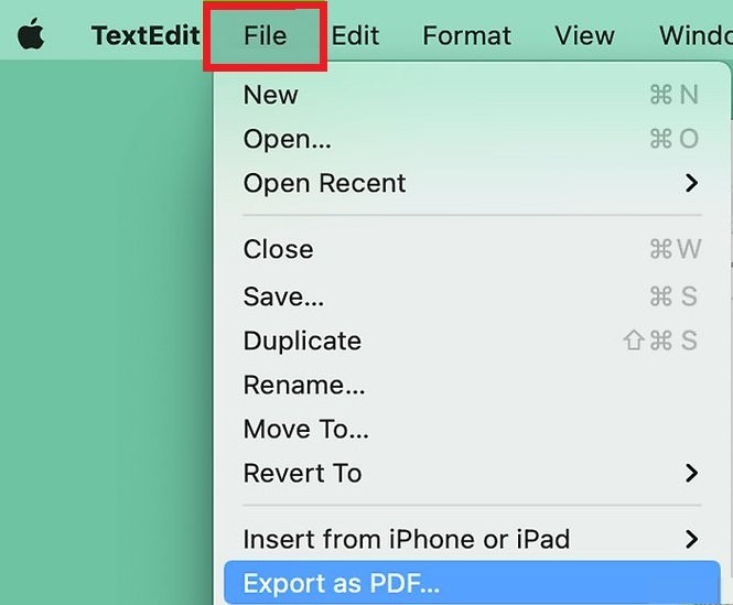 Export TXT to PDF