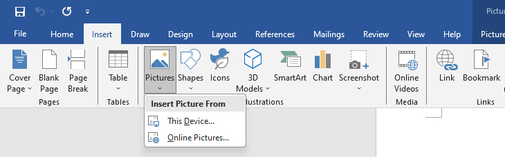 Insert JPG into Word