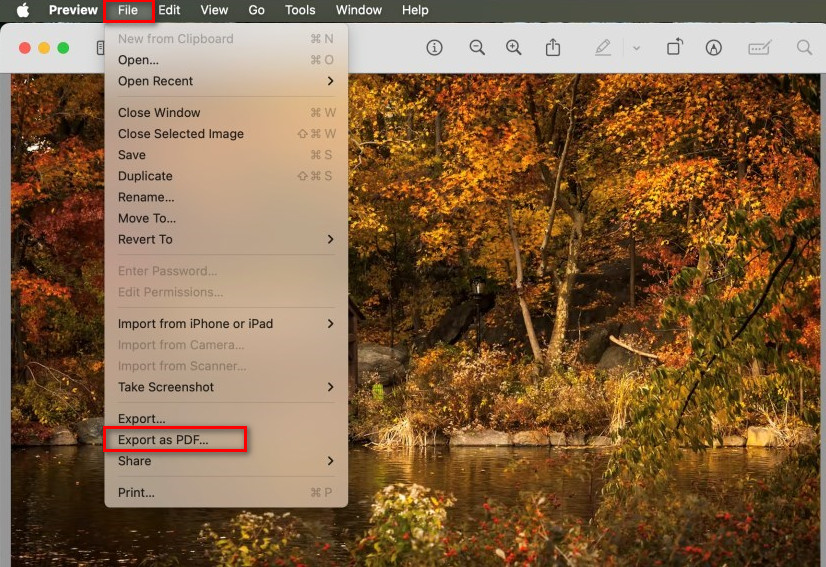 Open an Image with Preview