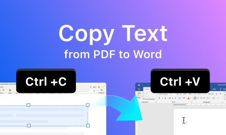 How to Copy Text from PDF to Word