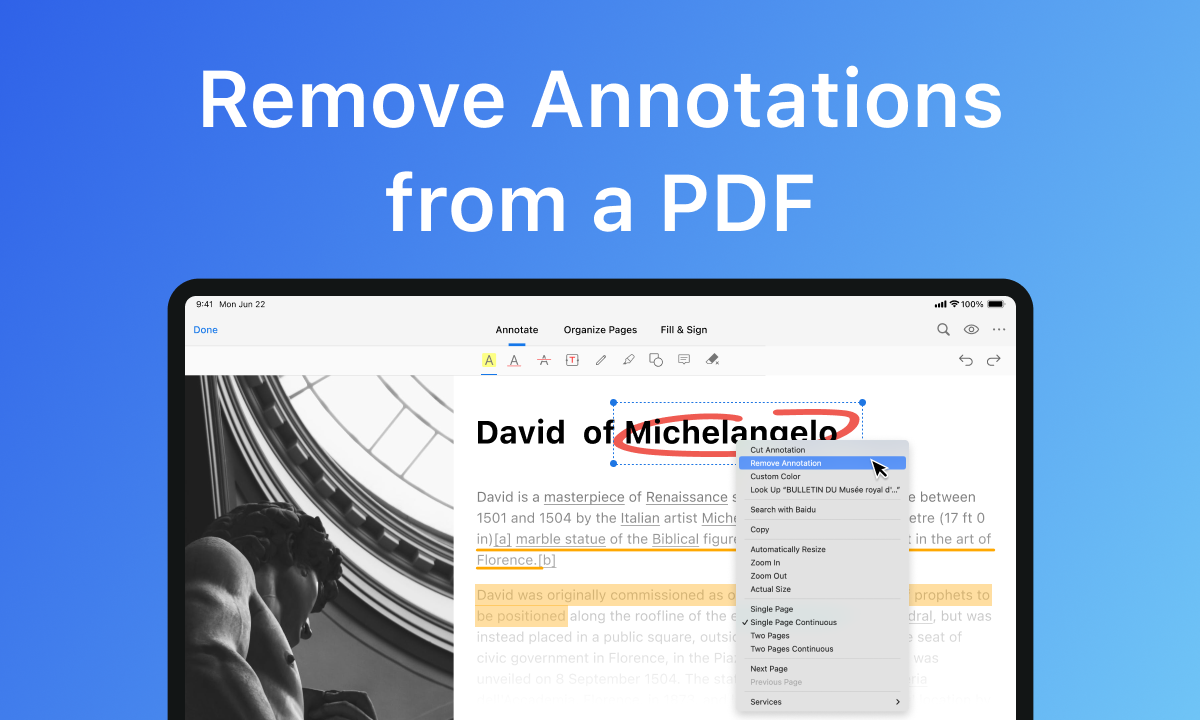 Remove Annotations from PDF
